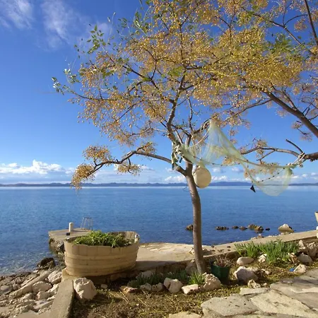 Apartment Old Fisherman's House - Zrinka Banj